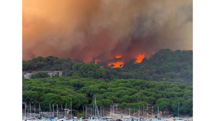 La FEMP, a disposición de las familias y municipios afectados por el fuego – FEMP